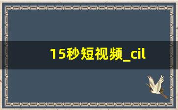 15秒短视频_cilicili短视频 安装